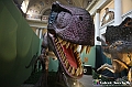 VBS_1038 - Dinosauri. Terra dei giganti